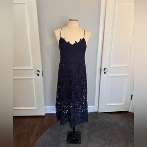 Express Midi Navy lace dress
